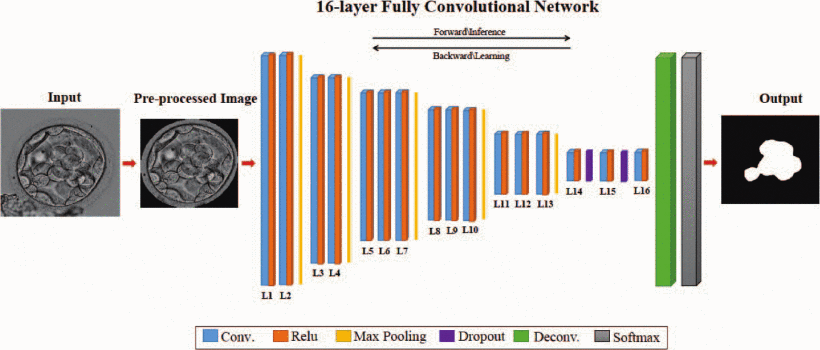 Inner Cell Mass Segmentation in Human HMC Embryo Images using Fully Convolutional Network | Shakiba